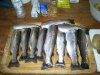 2011-08-24 20.43.38.jpg