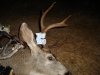 DSC04839.JPG