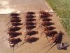 2012-10-14_10-12-08_285.jpg