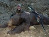 D11 Bear.JPG