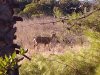 2012-10-25_08-17-59_431.jpg