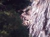 2012-10-25_08-31-50_801.jpg
