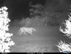 Cdy00046.JPG