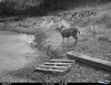 Cdy00045.JPG