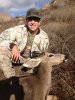 deer 2012.JPG