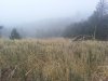 20121118_062522.jpg