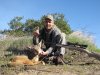 1st coyote 2011.JPG