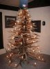 antler tree revised.jpg