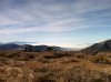 tejon 3.JPG