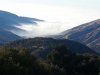 tejon 1.JPG