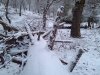 2012-12-31_06-46-57_87.jpg
