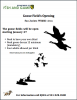 goose flyer.png