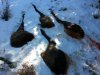20130121_135737.jpg