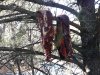 20130121_135747.jpg