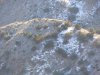DSCN0368.JPG