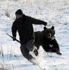 bear chasing guy.jpg