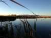 duck blind 1.jpg