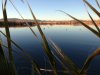 duck blind 2.jpg