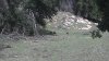 IMAG0310.jpg