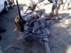 dove pile (640x480).jpg