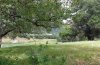 20130415_143615.jpg