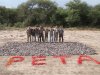 Argentina-Peta.jpg