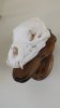 bear skull.jpg
