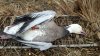 20160117_084600_resized.jpg