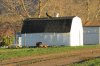 turkeys 3-11-13 016.JPG