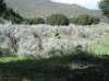 turkey opener 2012 060.JPG