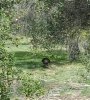 20160228_112105-1_resized.jpg