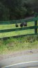20160312_081959_resized.jpg