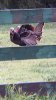 20160312_082036_resized.jpg