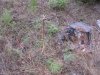 washington elk hunt lllll 2011 008.JPG