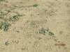 IMG_0391.JPG