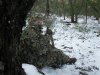 mike's turkey hunt 4-10-11 007.JPG