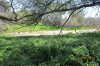 turkey opener 2013 043.JPG
