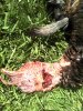 2012-04-06_11-14-29_674.jpg