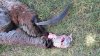 2015 archery3.jpg