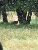 IMG_2204.jpg