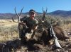 deer 2.jpg