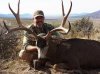 deer 1.jpg