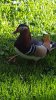 20160430_180114.jpg