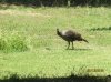 035.JPG