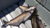 20160519_134946.jpg