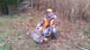 Deer4.jpg