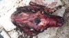 20160516_140712.jpg