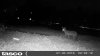HUNT0089.JPG