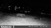 HUNT0053.jpg