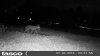 HUNT0099.JPG
